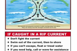 Rip Current Safety Rules