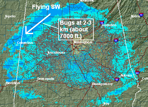 live alabama weather radar live alabama weather radar