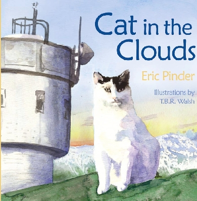 cat_front1