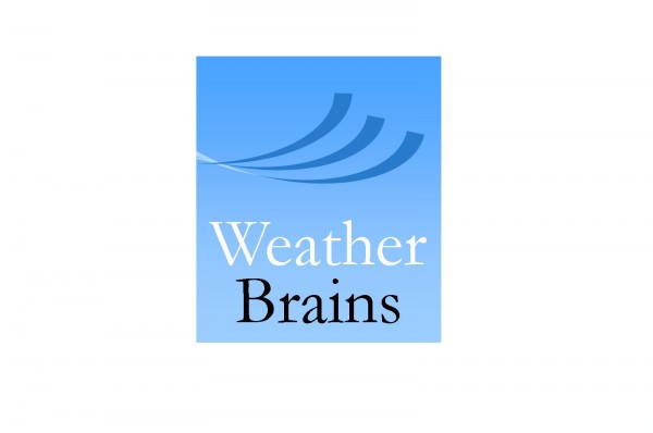 wxbrainslogo