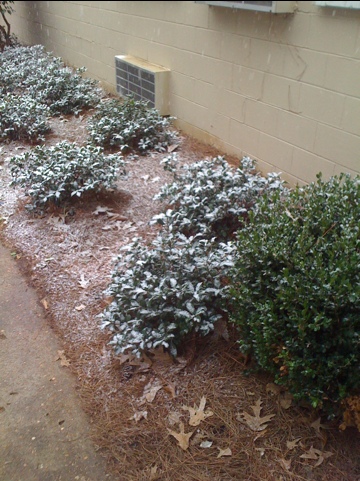 West Alabama Snow Flakes