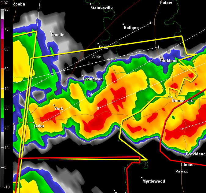 Severe Thunderstorm Warning:  Greene/Sumter