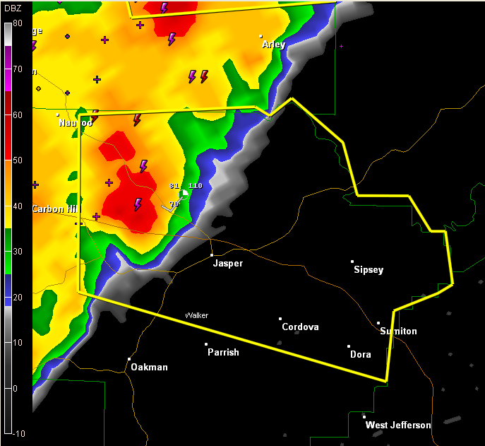 Severe Thunderstorm Warning: Walker County | Alabama Weather Network