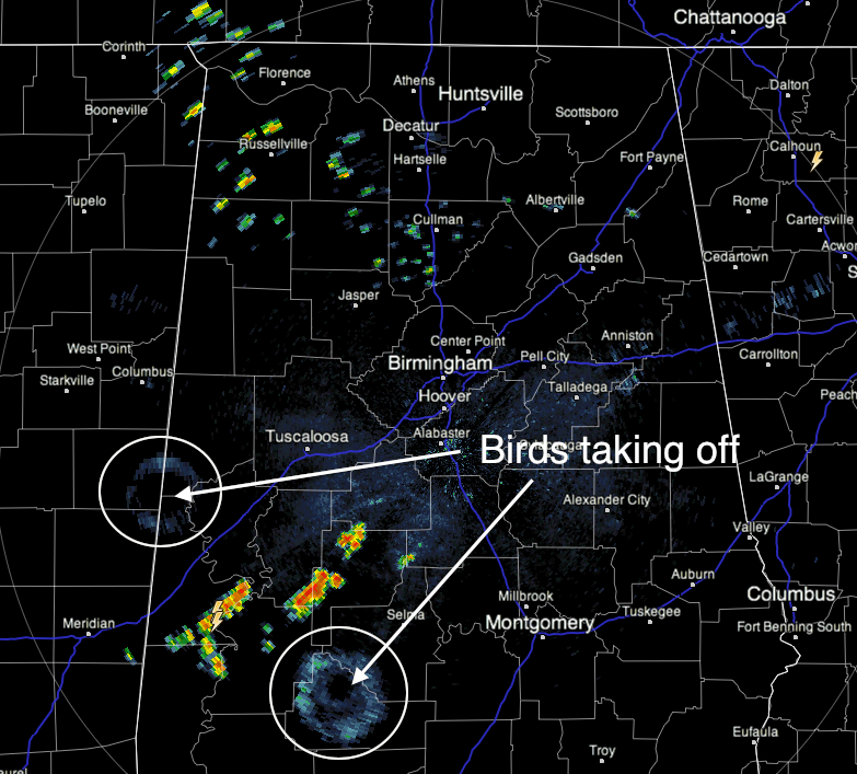 Interesting Morning Radar