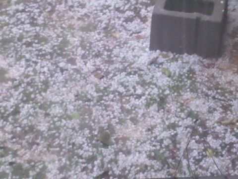 Hail In Trussville
