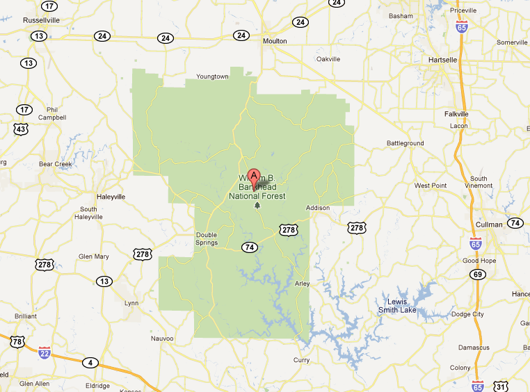 Small NW Alabama Quake