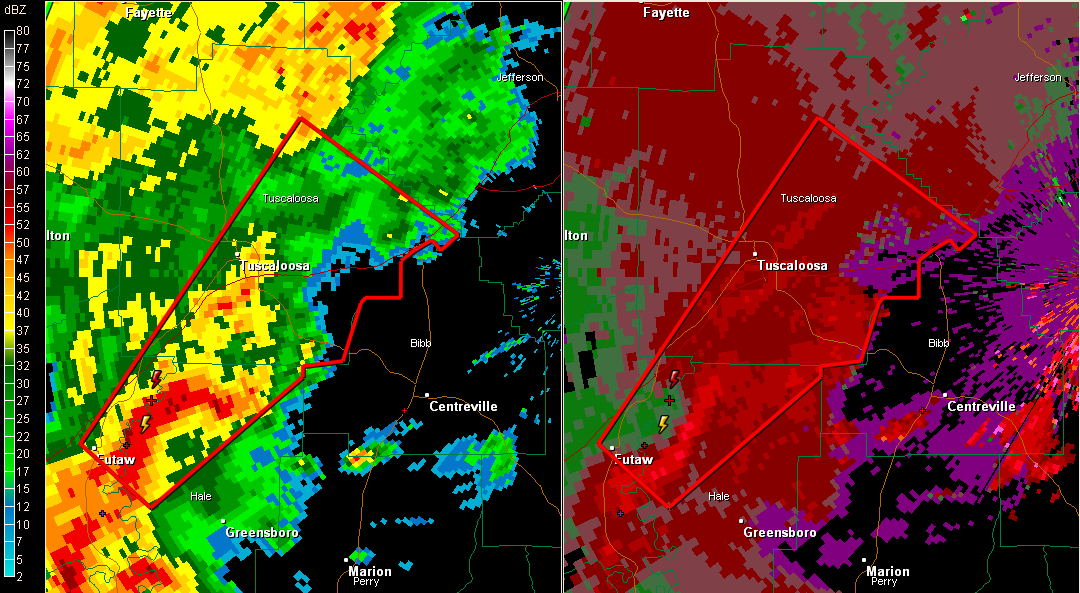 Tornado Warning: Greene, Hale, Tuscaloosa