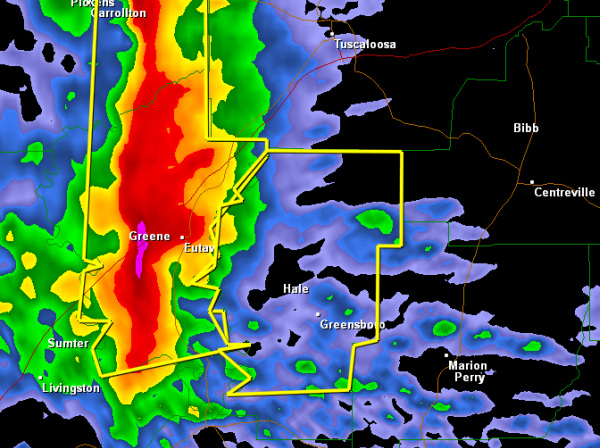 Severe Thunderstorm Warning Hale County until 10:45 PM