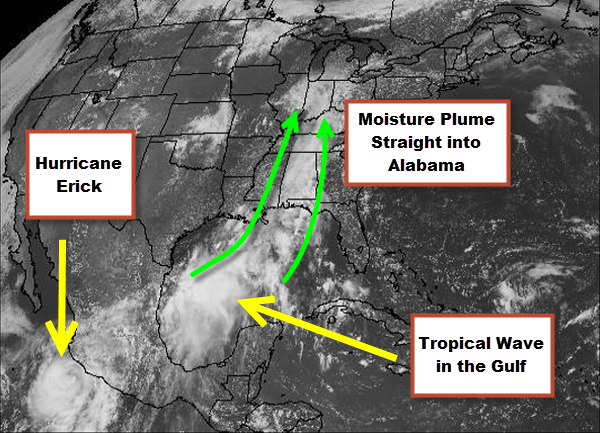 A Tropical Plume of Moisture