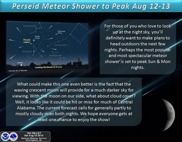 Perseid Meteor Shower