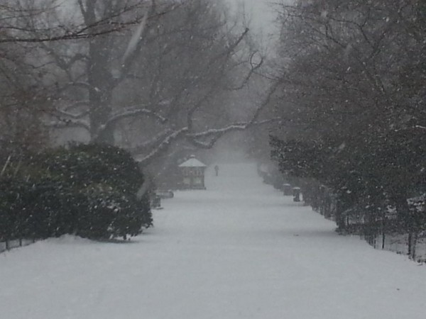 My_Cen_ParkNYC_2015-Jan-26