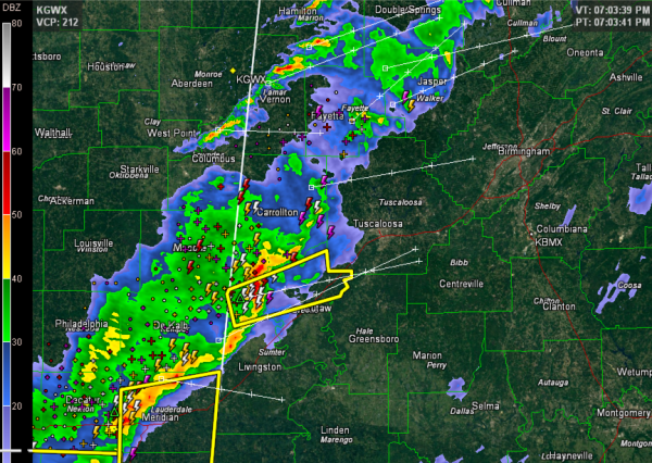 Severe Thunderstorm Warning Sumter and Greene Counties