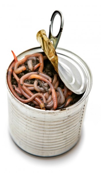 can-of-worms