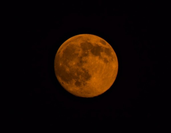 IMG_6881
