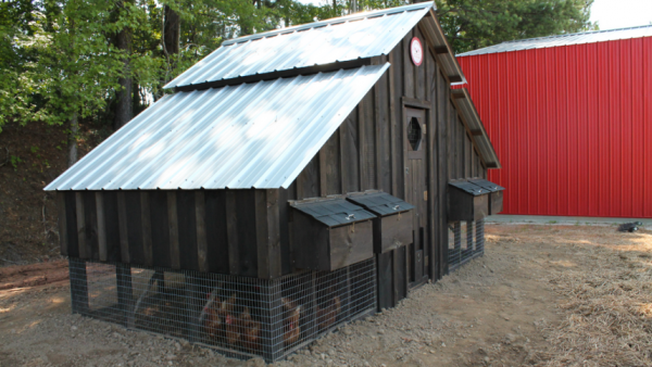 2015-09-25_12-10-19