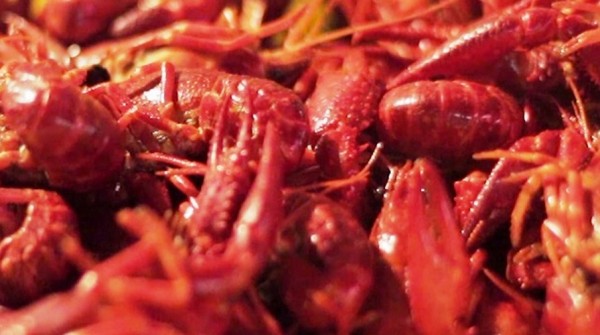 2015-10-16_16-45-51 crawfish