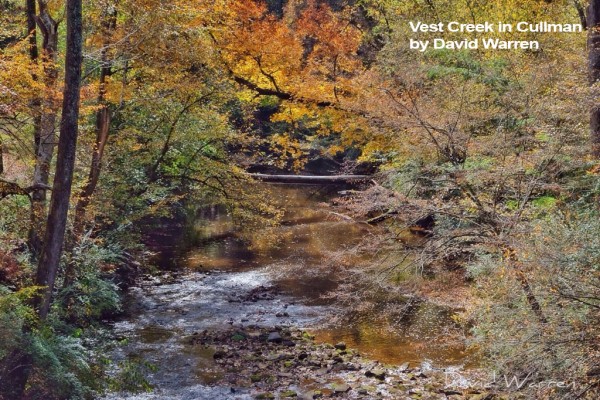 Vest-Creek