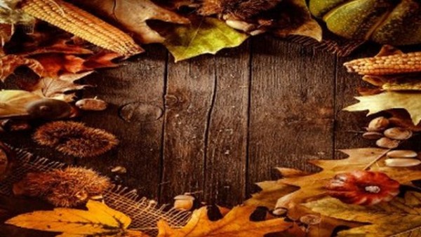 05 fall-image-feature