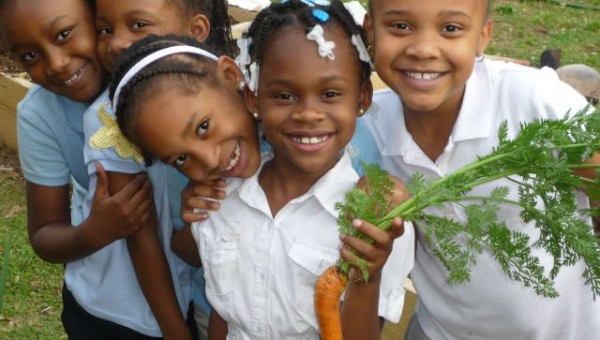 15 Community-garden-Better-Basics-featured