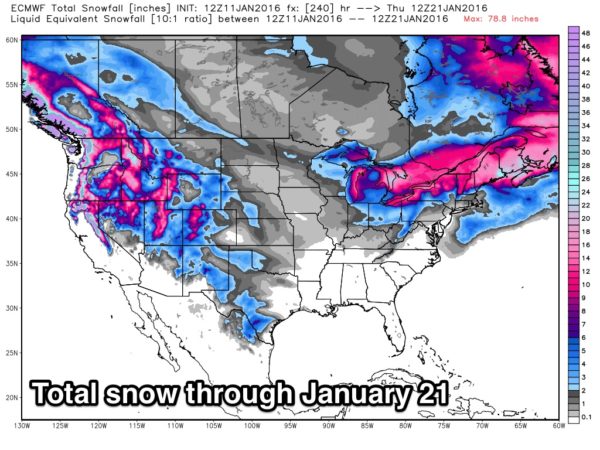 1-21_snow