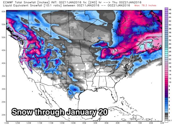 snow_ecmwf