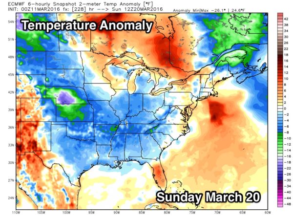 ecmwf_t2m_anom_east_39
