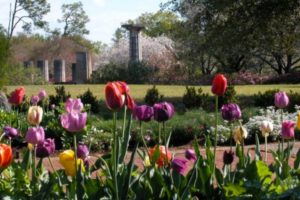 Good News Stories from Our Friends at Alabama NewsCenter
