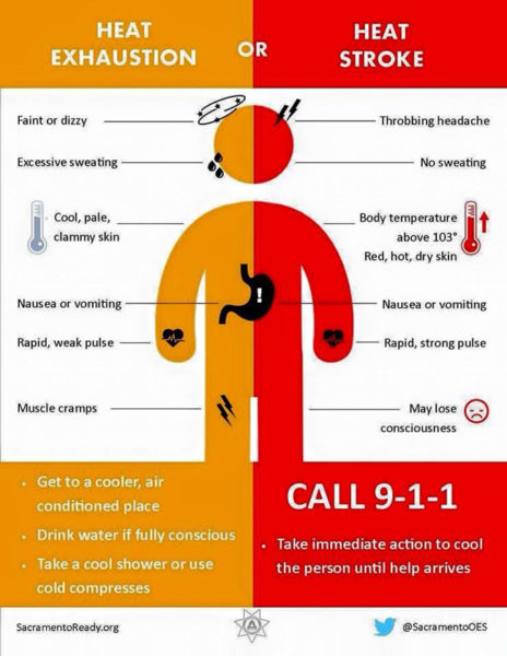 heat-stroke-signs-1