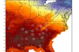 Halloween Warmth In Alabama