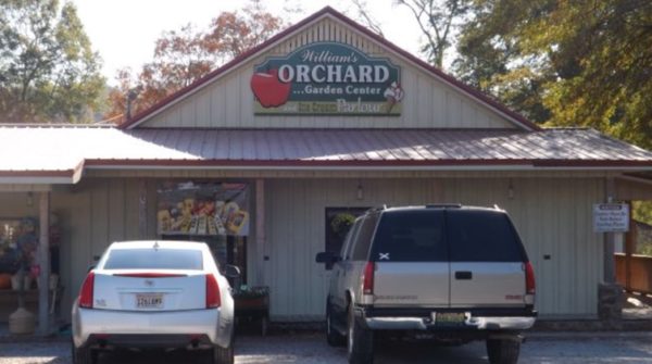 2016-11-04_11-37-45orchard