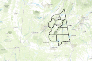 Wind Advisory Issued For Counties In Eastern Alabama Until 11:00 PM