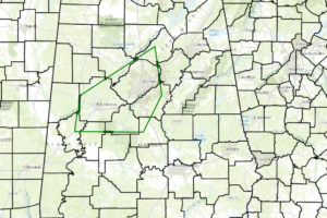 Areal Flood Warning Issued  For  Parts Of Bibb, Blount, Chilton, Greene, Hale, Jefferson, Shelby, Tuscaloosa, And Walker Counties