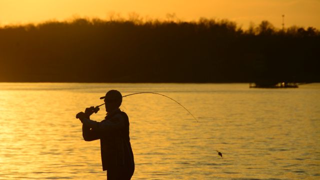 Alabama Power, Conservation Officials Give Nature A Little Assist When Gamefish Spawn