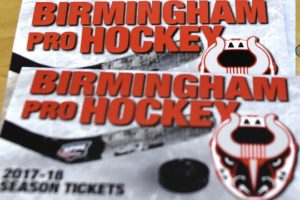 Birmingham Bulls Hockey Will Drop The Puck In Pelham This Year
