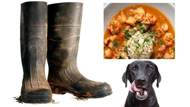 How Rubber Boots And Crawfish Etouffee Helped Prattville Land The $220 Million Project Black Dog