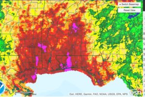 Rainfall Totals from Cindy So Far