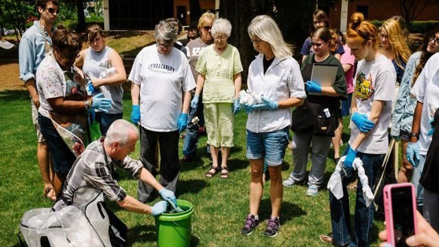 Create Art From Nature: How To Make Paper, Brew Plant Dyes And More