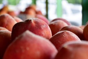 Chilton County Celebrates 70 Years Of Peach Festival
