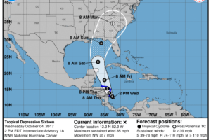 Early Afternoon Notes On TD 16