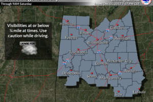 Dense Fog Advisory Issued For Central AL From 11PM Tonight to 9AM Saturday
