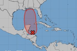 Tropical Storm Expected To Form In The Gulf Of Mexico