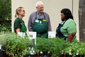 Birmingham Botanical Gardens Spring Plant Sale Marks 50th Year