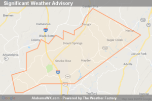 Significant Weather Advisory For Southwestern Blount County Until 5:30 AM CDT