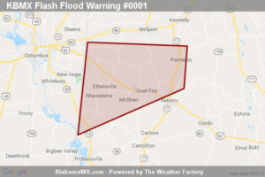 Flash Flood Warning Issued For Parts Of Pickens County Until 2:00AM