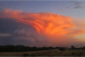 What Is A Pyrocumulus Cloud?