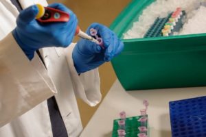 Bio Alabama Names Director As It Targets Bioscience Sector Growth