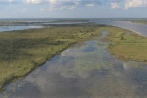 Alabama Legacy Moment: The Mobile-Tensaw River Delta