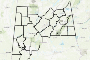 Freeze Watch Issued For Much Of Central Alabama Until Saturday 8:00 AM