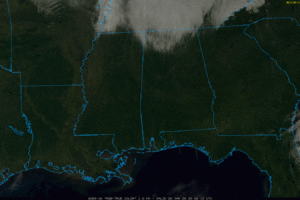 Hard Freeze Tonight; Rain Returns Late This Week Hard Freeze Tonight; Rain Returns Late This Week