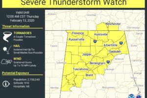 Severe Thunderstorm Watch Issued For A Good Bit Of North/Central Alabama Through Midnight
